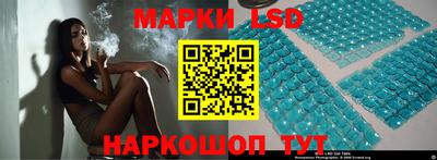 дмт Славгород