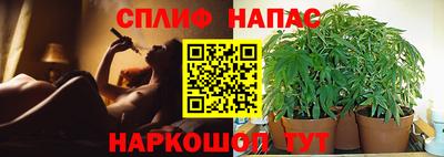 дмт Славгород