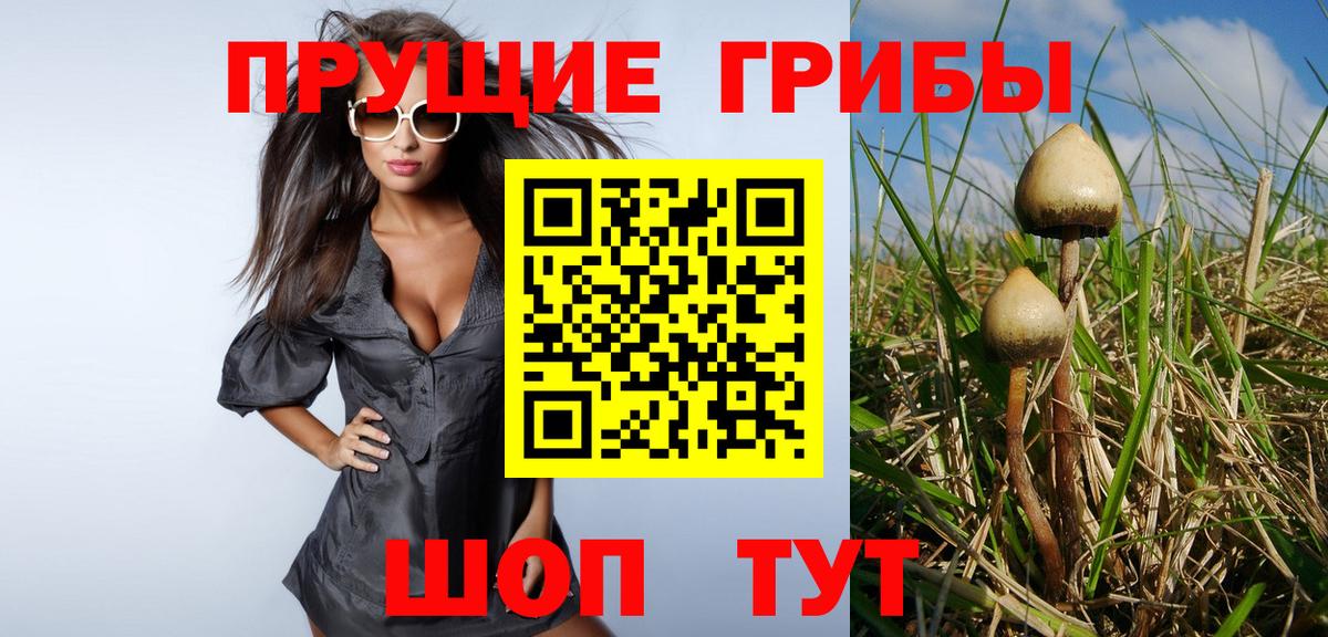 Псилоцибиновые грибы мицелий Северобайкальск